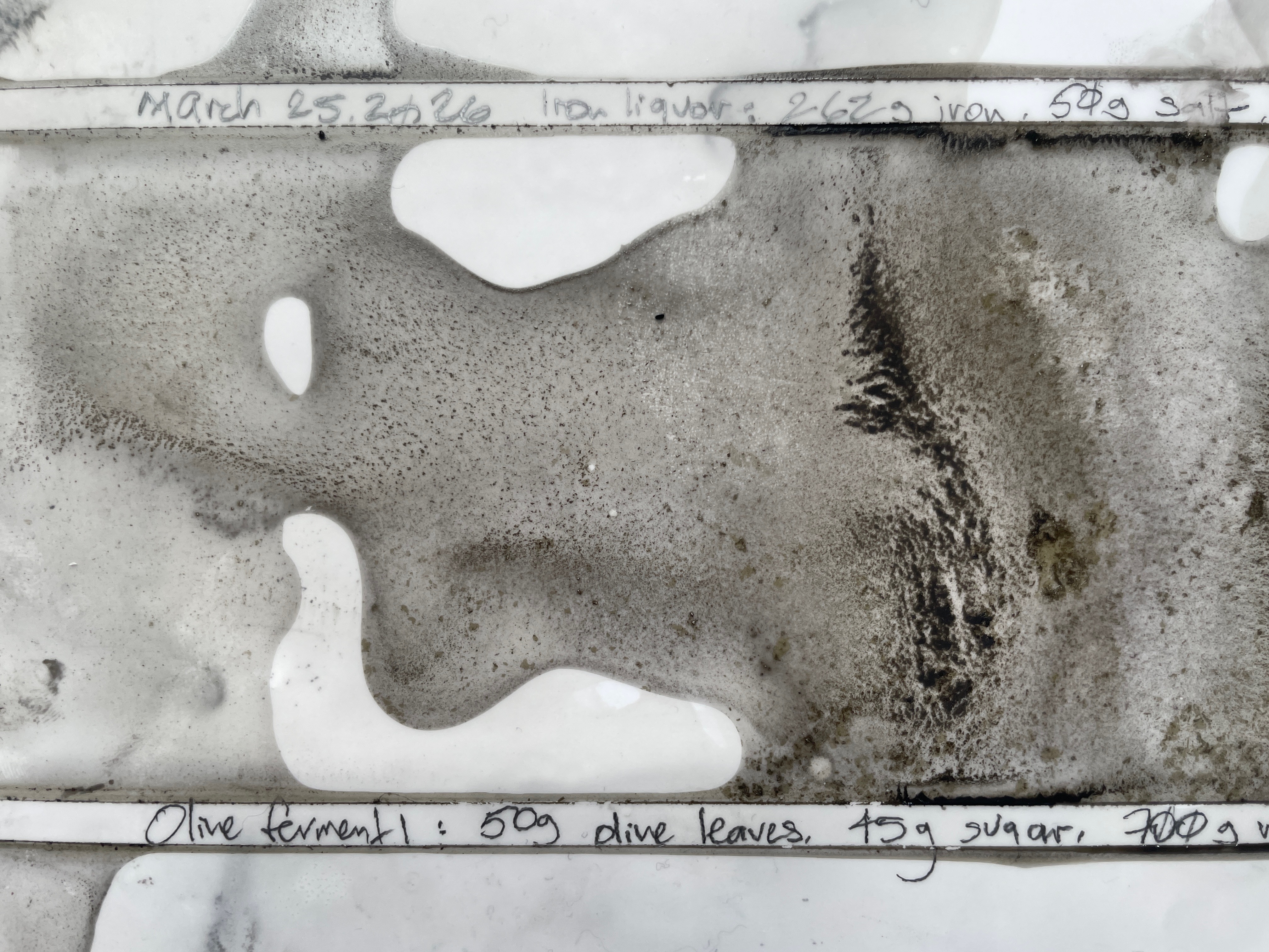 Fermented ink study