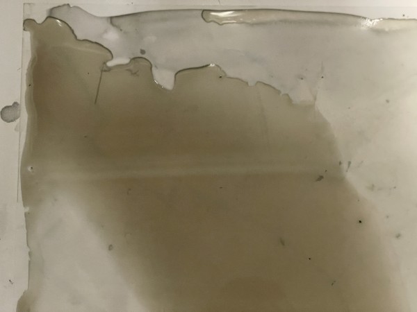 Fermented ink study