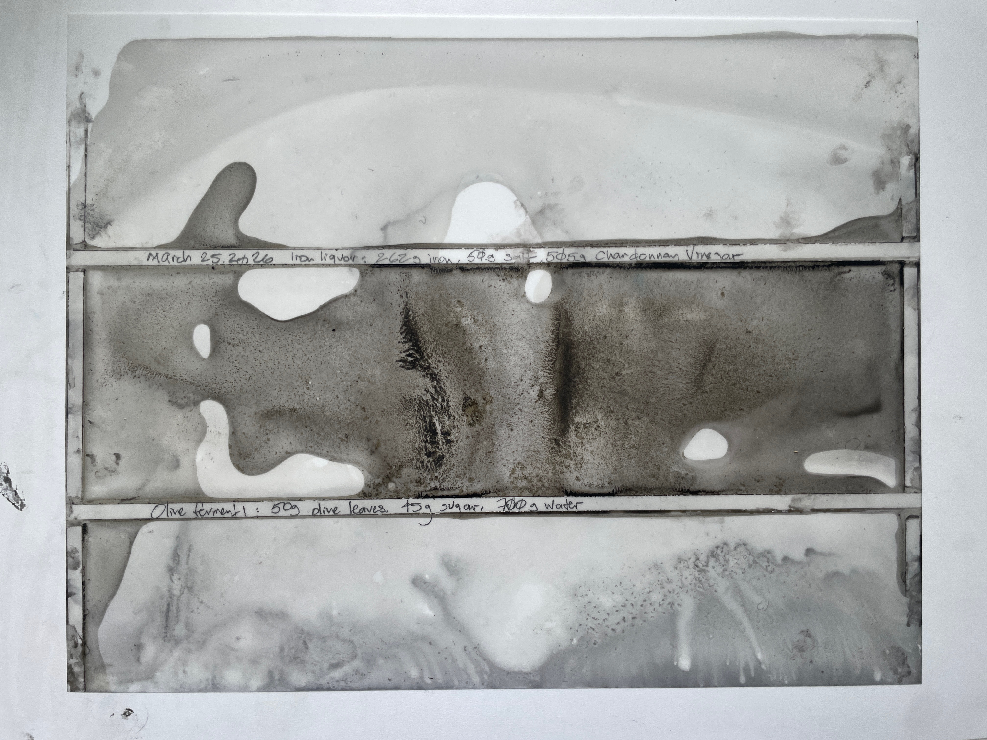 Fermented ink study