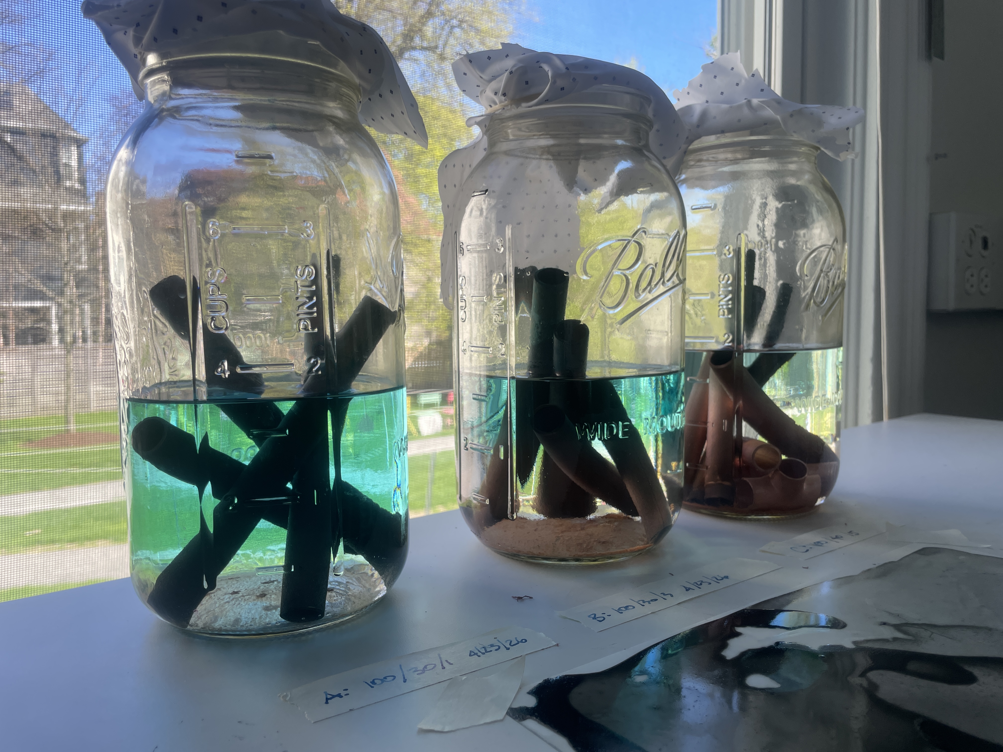 Fermented ink study